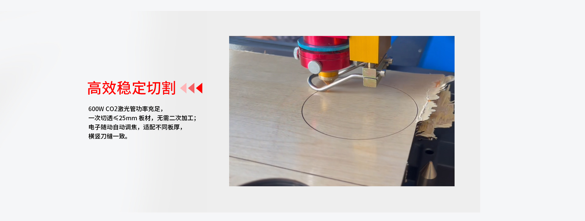 1767152632451045.jpg 未标题-2_03.jpg