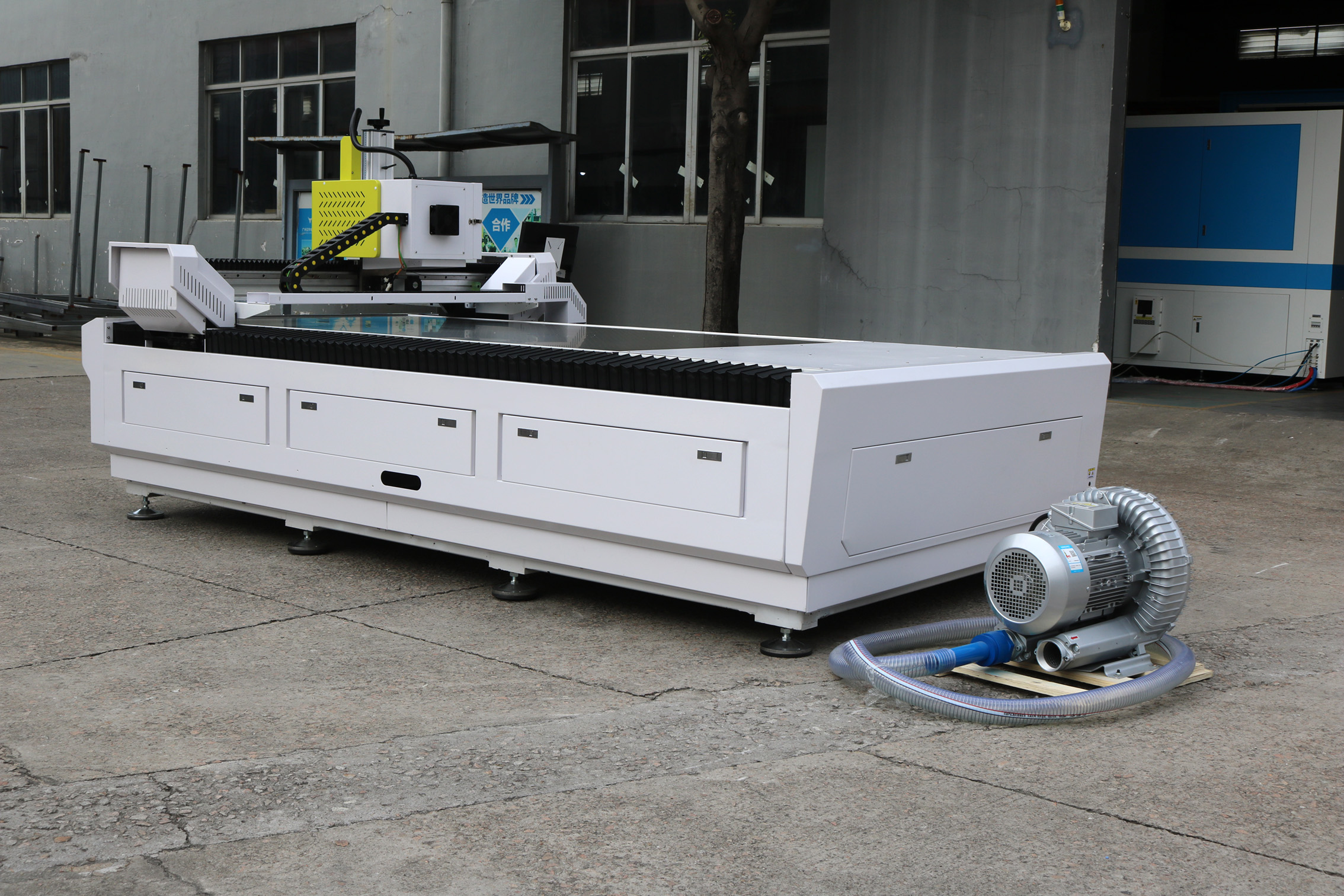 高清欧美性猛交xxxx黑人猛交